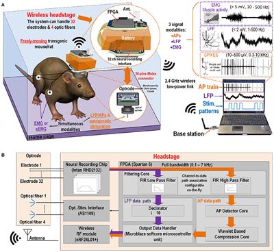 A Wireless Electro-Optic Platform for Multimodal Electrophysiology and Optogenetics in Freely Moving Rodents